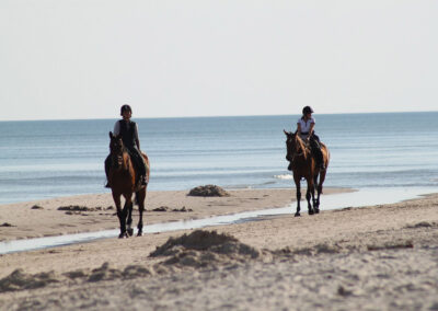 Horse Riding